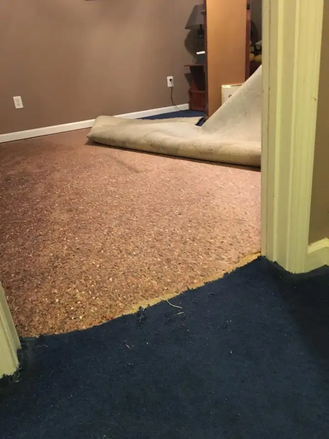 Carpet pad removal revealing water damage during Water Mitigation Services in Rosendale