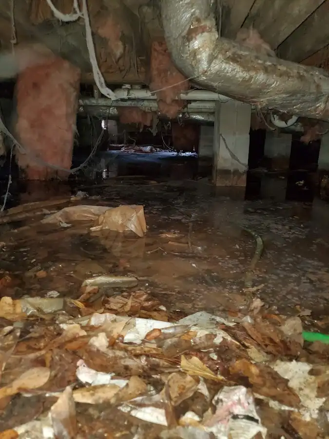 Crawl space flood assessment for Commercial Water Damage Restoration in Rosendale