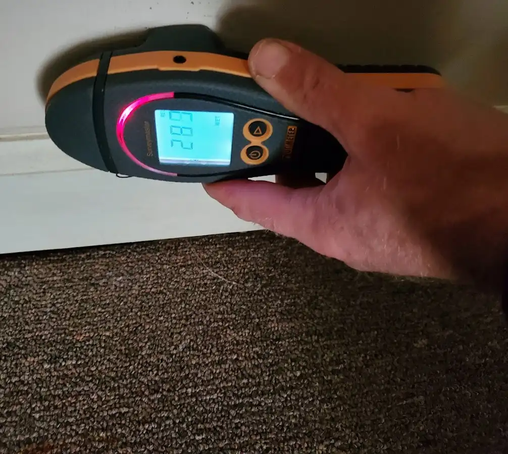 Moisture detection at baseboard during Mold Inspection & Testing in Rosendale